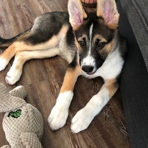 Meet your Posher, Mike